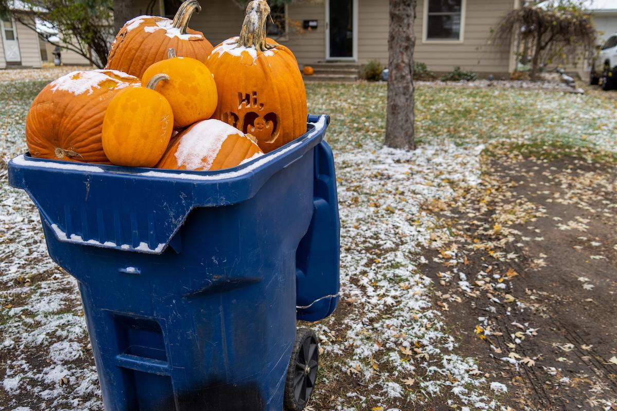 Environmental Issues Regarding Halloween