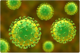 A Deadly Threat: Why the Nipah Virus Demands Preparedness Now