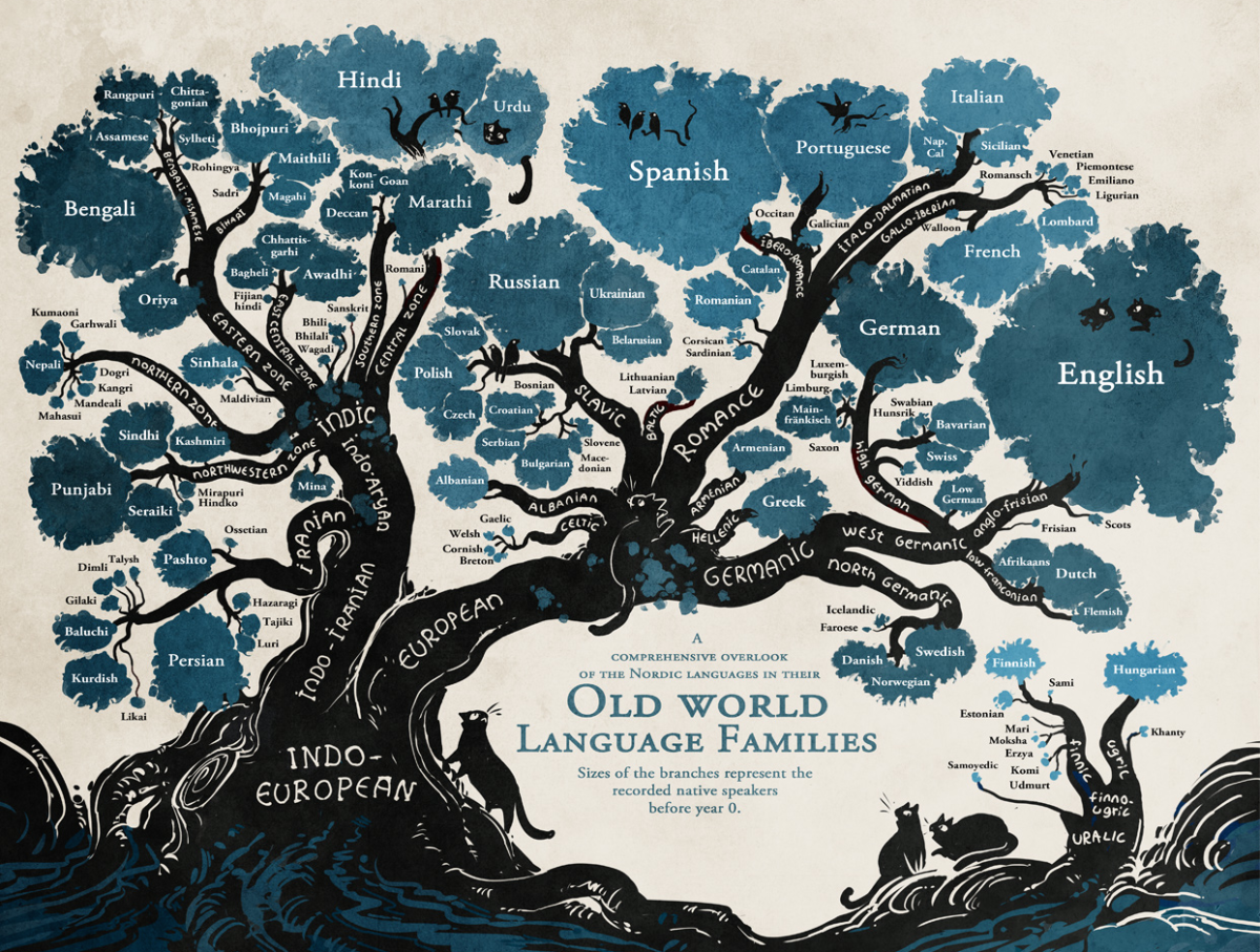 What's In A Name?